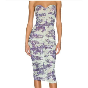 Miaou Renzo Mint Toile Midi Ruched Dress Mint Purp